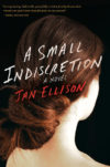 a-small-indiscretion-by-jan-ellison