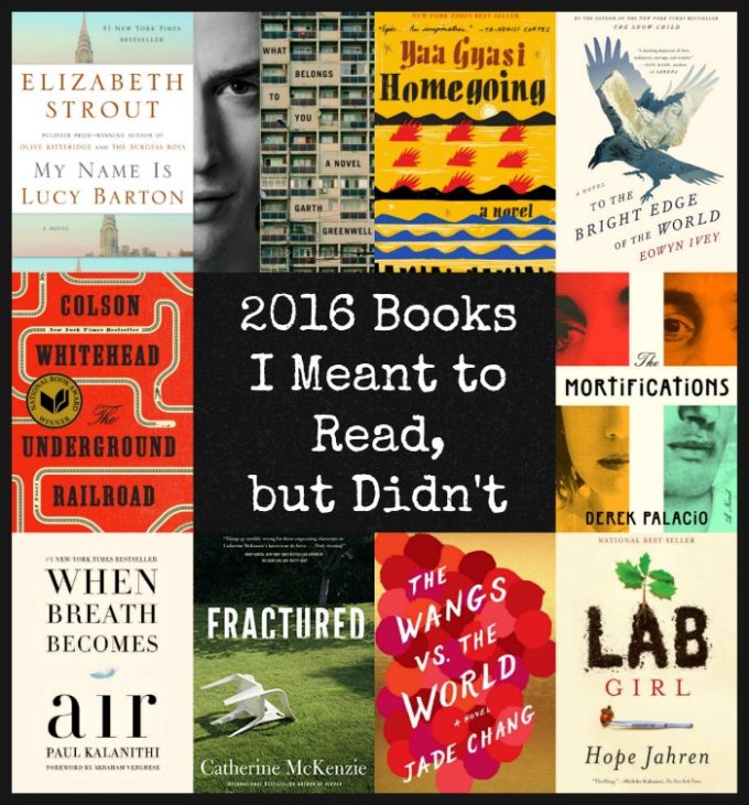 2016 Books I Meant to Read, But Didn't | Review - Novel Visits