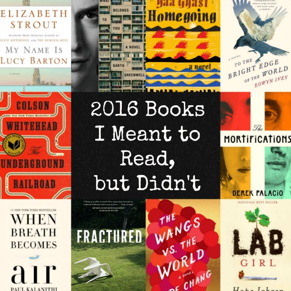 2016 Books I Meant to Read, But Didn't | Review - Novel Visits