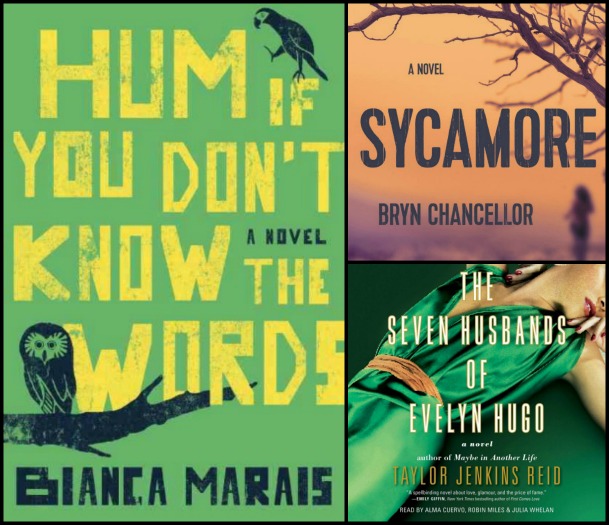 Hum If You Don't Know the Words by Bianca Marais, Sycamore by Bryn Chancellor, and The Seven Husbands of Evelyn Hugo by Taylor Jenkins Reid