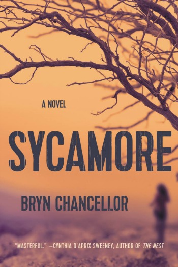 Sycamore by Bryn Chancellor - This wonderful debut tells the story of a missing girl and how her vanishing affects everyone in her small Arizona town.
