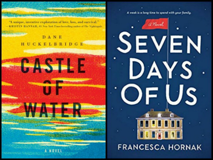 Castle of Water by Dane Huckelbridge and Seven Days of Us by Francesca Hornak