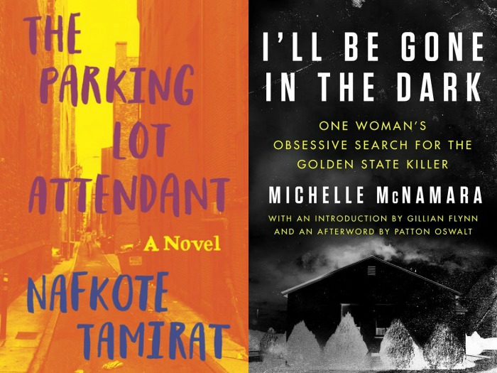 Novel Visits: The Parking Lot Attendant by Nafkote Tamirat and I'll Be Gone in the Dark by Michelle McNamara