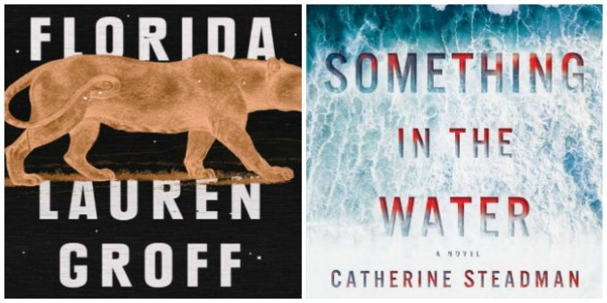 Novel Visits My Week in Books for 5/21/18: DNF Books - Florida by Lauren Groff and Something in the Water by Catherine Steadman