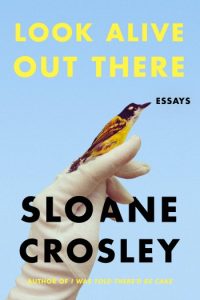 Novel Visits Review: Look Alive Out There by Sloane Crosley