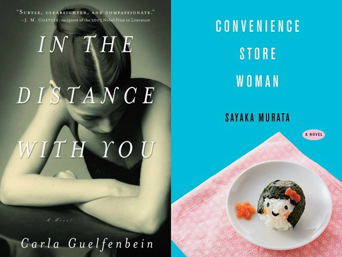 Novel Visits My Week in Books for 6/4/18: Last Week's Reads - In the Distance With You by Carla Guelfenbein and Convenience Store Woman by Sayaka Murata