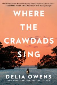 Novel Visits' BEST BOOKS of 2018 - Where the Crawdads Sing by Delia Owens