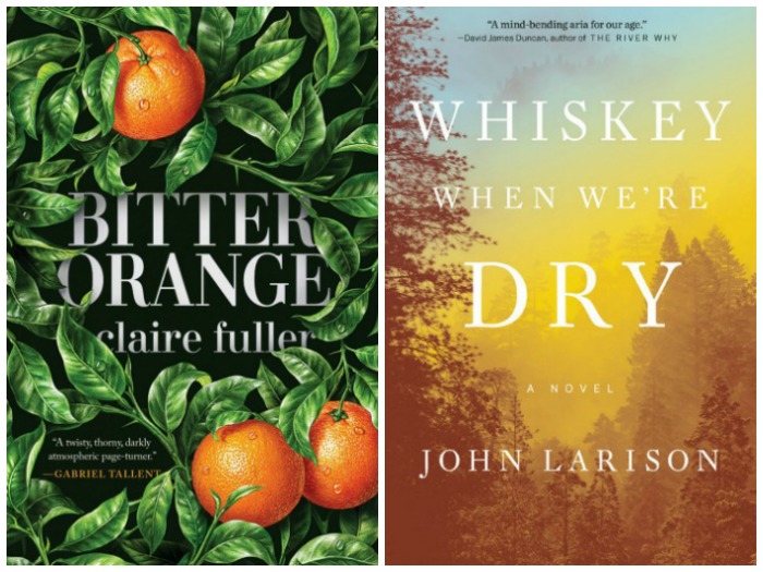 Novel Visits' My Week in Books for 10/1/18: Currently Reading - Bitter Orange by Claire Fuller and Whiskey When We're Dry by John Larison