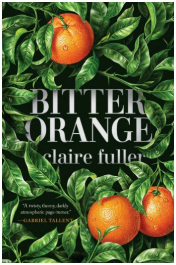 Novel Visits' My Week in Books for 10-8-18: Last Week's Read - Bitter Orange by Claire Fuller