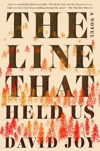 Novel Visits' Review of The Line That Held Us by David Joy