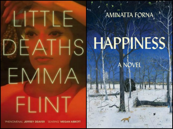 Novel Visits' My Week in Books for 12/10/18: Currently Reading - Little Deaths by Emma Flint and Happiness by Aminatta Forna