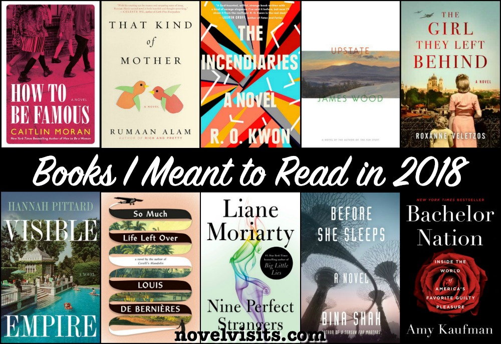 Novel Visits' Books I Meant to Read in 2018