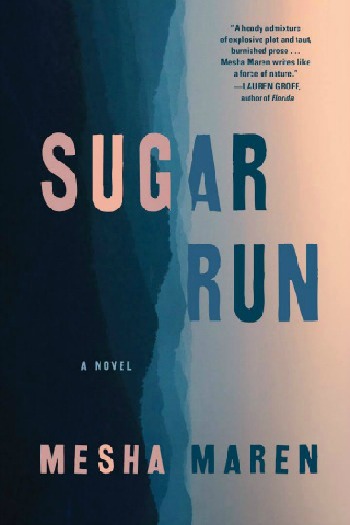 Novel Visits' My Week in Books for 1/21/19: Currently Reading - Sugar Run by Mesha Maren