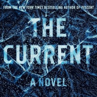 Novel Visits Review of The Current by Tim Johnston