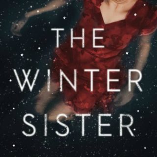 Novel Visits' Review of The Winter Sister by Megan Collins