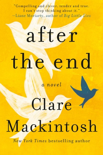 Novel Visits' Review of After the End by Clare Mackintosh