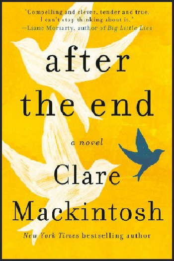 Novel Visits' My Week in Books for 6/24/19: Last Week's Read - After the End by Clare Mackintosh