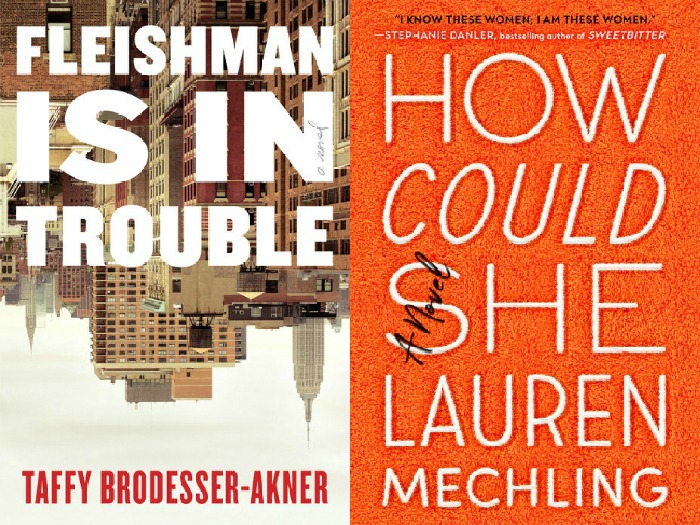 Novel Visits' My Week in Books for 6/10/19: Likely to Read Next - Fleishman is in Trouble by Taffy Brodesser-Akner and How Could She by Lauren Mechling