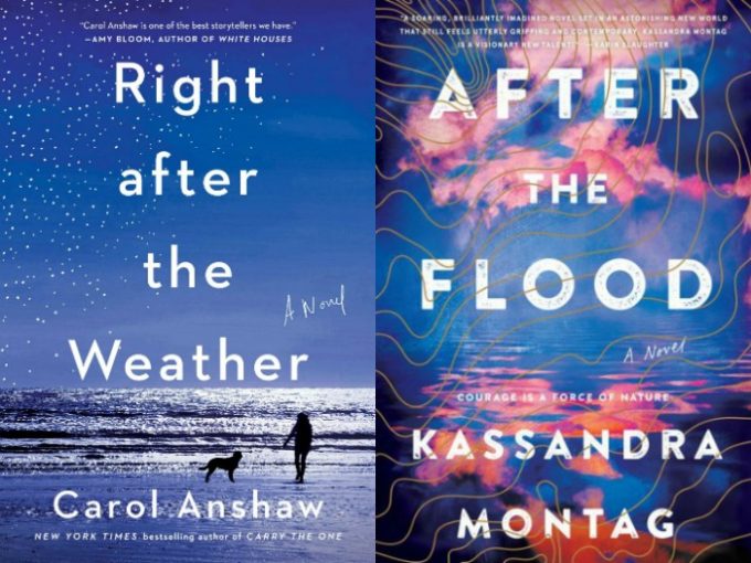 Right After the Weather by Carol Anshaw and After the Flood by Kassnadra Montag