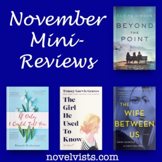 Novel Visits' November mini-Reviews: Beyond the Point by Claire Gibson, If Only I Could Tell You by Hannah Beckerman, The Girl He Used to Know by Tracey Garvis Graves and The Wife Between Us by Greer Hendricks & Sarah Pekkanen
