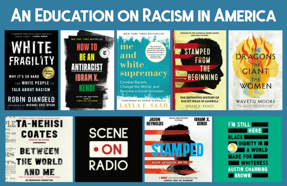 Novel Visits - An Education on Racism in America