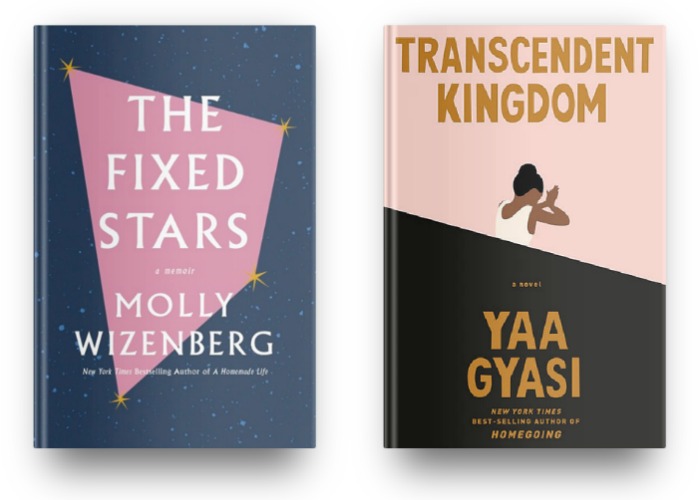 The Fixed Stars by Molly Wizenberg and Transcendent Kingdom by Yaa Gyasi