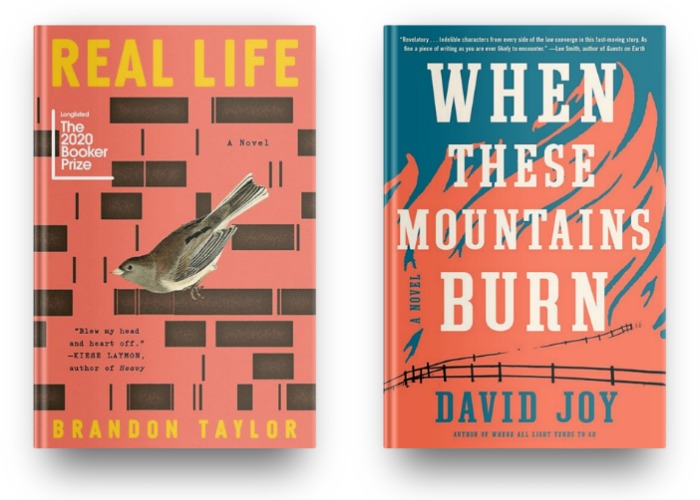 Real Life by Brandon Taylor and When These Mountains Burn by David Joy