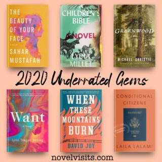Novel Visits' 2020 Underrated Gems