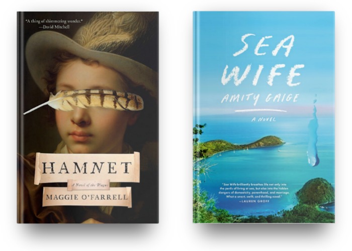 Hamnet by Maggie O'Farrell and Sea Wife by Amity Gaige