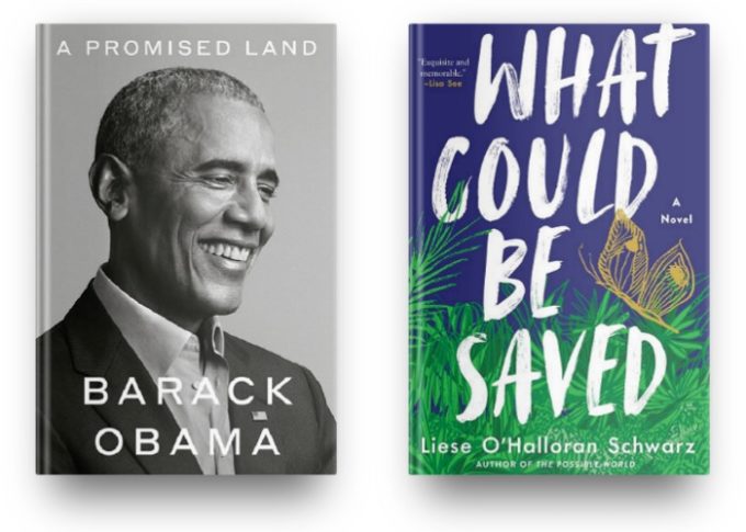 A Promised Land by Barack Obama and What Could be Saved by Liese O'Hallaron Schwarz