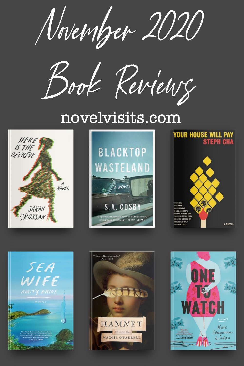 November 2020 Book Reviews Print & Audiobooks Novel Visits