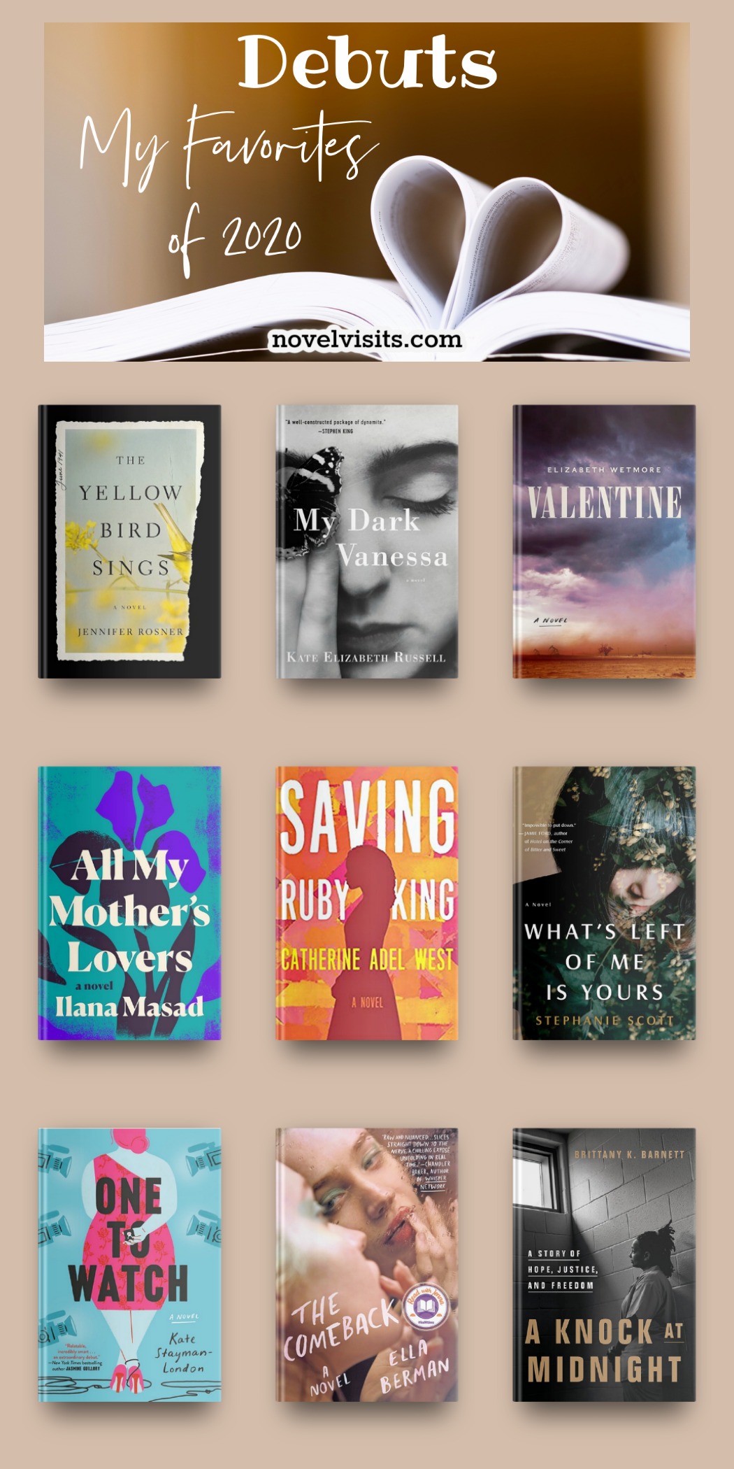 DEBUTS ~ My Favorites of 2020 - Novel Visits