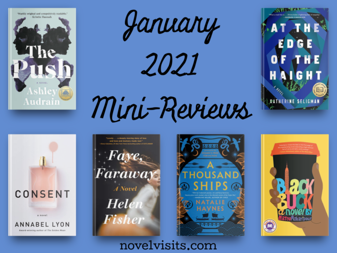 Novel Visits' January Mini-Reviews