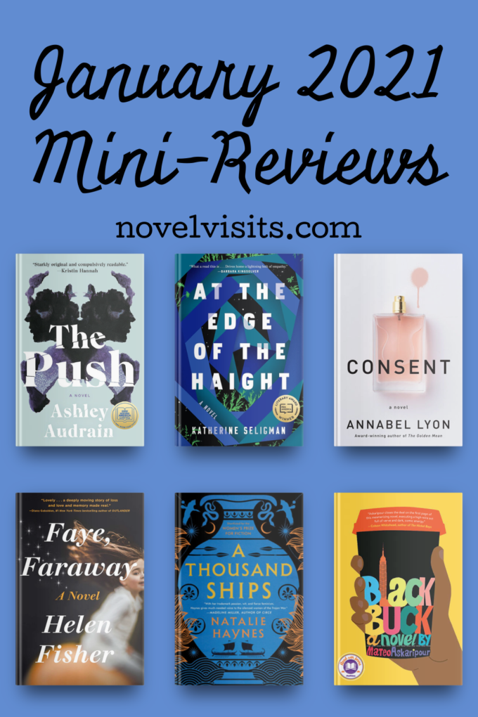 Novel Visits' January Mini-Reviews - Black Buck by Mateo Askaripour