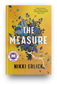 the Measure by Nikki Erlick