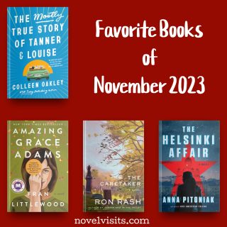 Favorite Books of November 2023 from NovelVisits.com